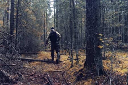 Купить диплом Егеря, лесника в Нальчике