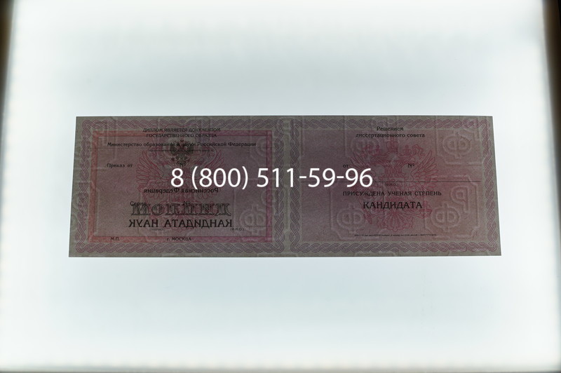 Заказать Диплом кандидата наук 2010 в Нальчике